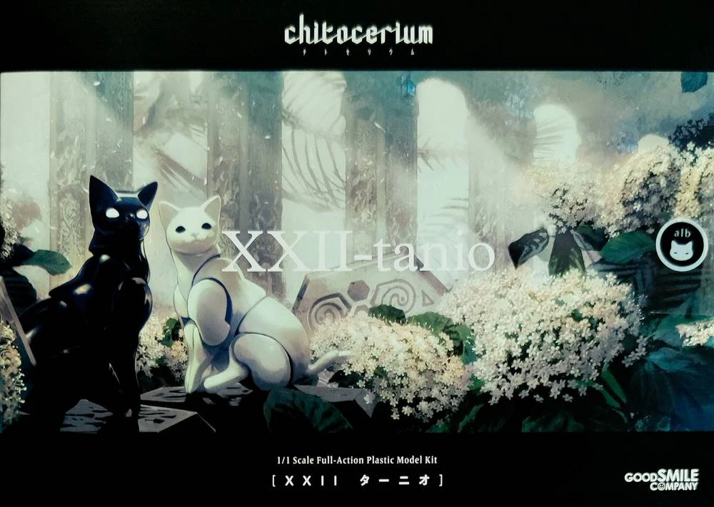 Thumbnail 11