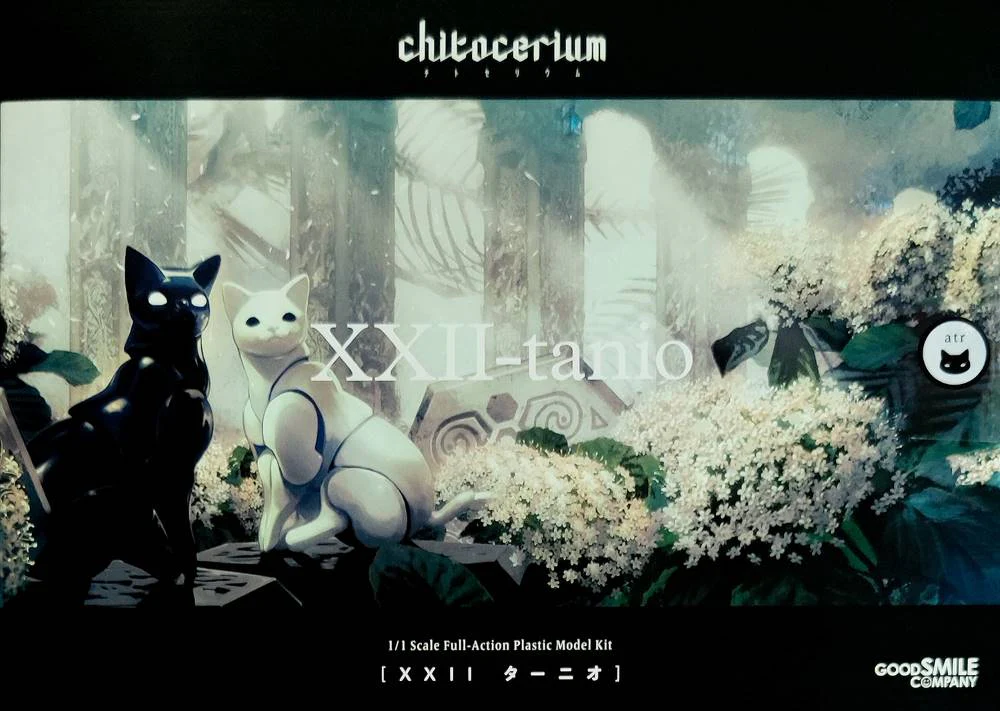 Thumbnail 11