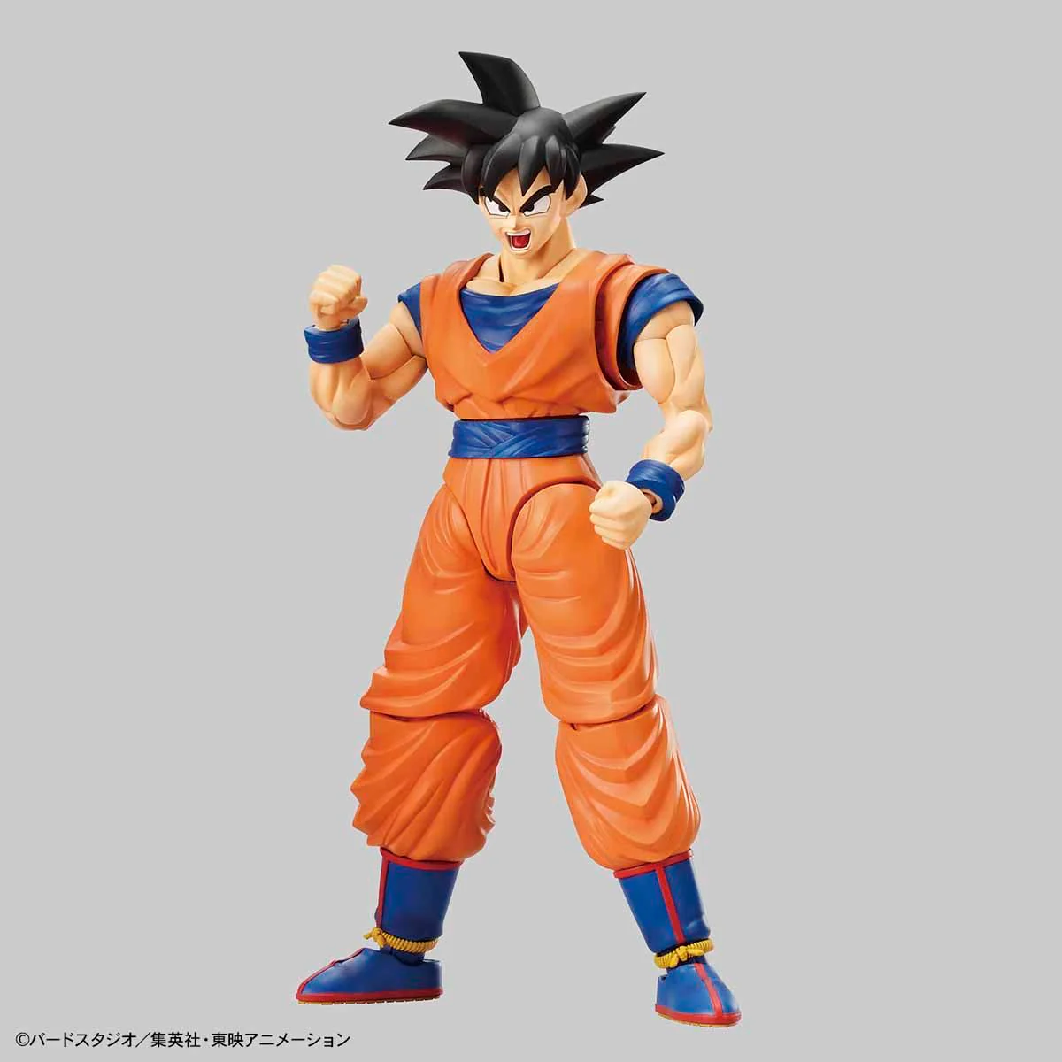 Thumbnail 10