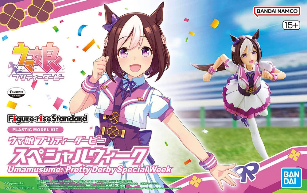 Thumbnail 13
