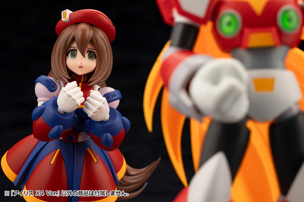 Thumbnail 10