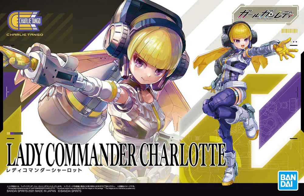 Thumbnail 12